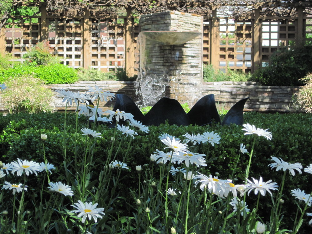 Shasta Daisy, Sundial & Fountain